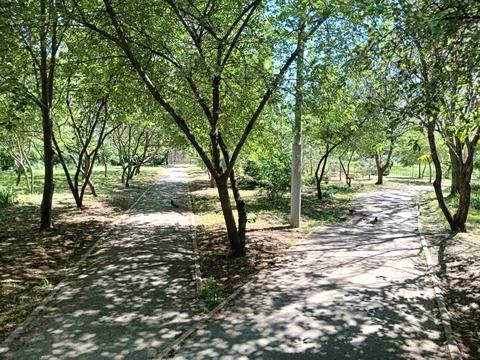квартира за адресою Драгоманова вул., 12-А