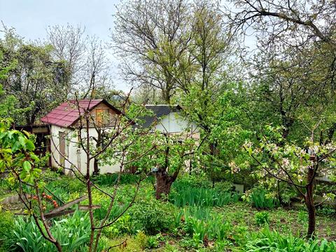 дом по адресу Центральная ул.