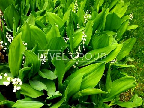 будинок за адресою Київська вул., 31