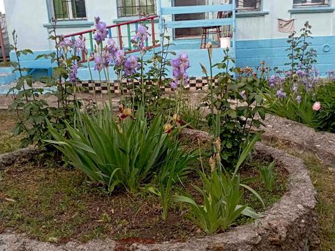 дом по адресу 19 линия