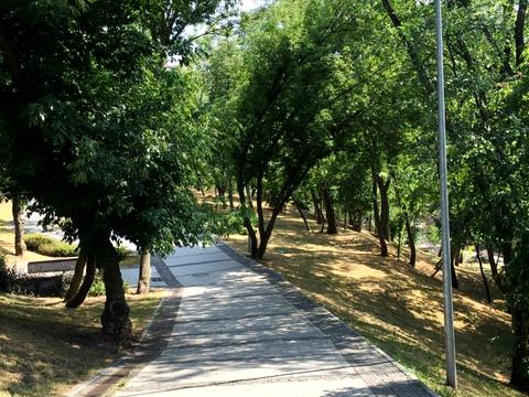 квартира за адресою Велика Житомирська вул., 10