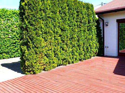 дом по адресу Лесі Українки, 41