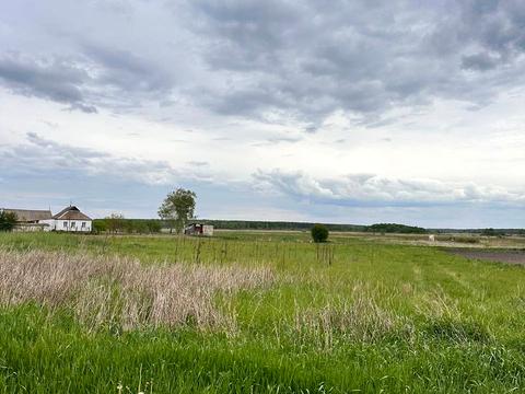 дом по адресу Берегова