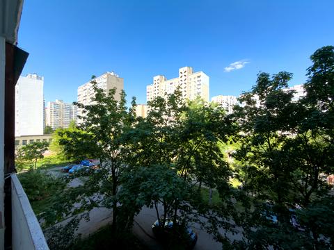 квартира по адресу Урловская ул., 1/8
