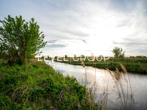 ділянка за адресою Київська