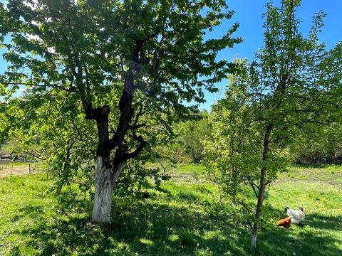 будинок за адресою Генерала Шаповала вул. (Покришкіна), 79