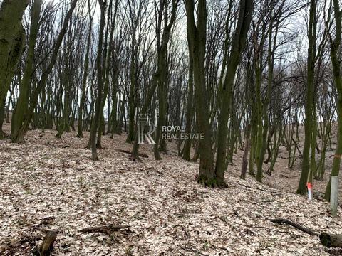 ділянка за адресою Бузкова