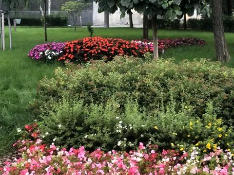 квартира за адресою Повітряних Сил просп. (Повітрофлотський), 11/15