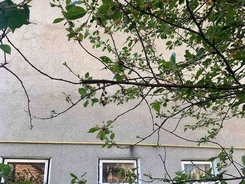 дом по адресу Петра Сагайдачного ул., 19