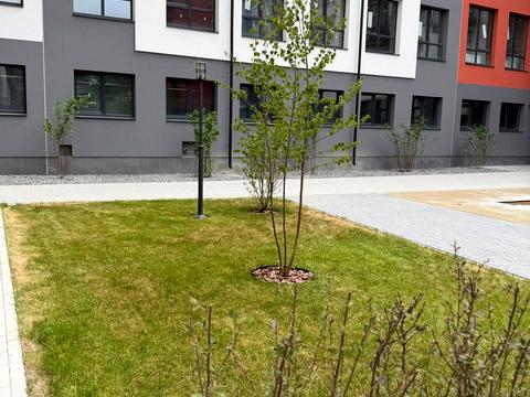 квартира за адресою Степана Ленкавського вул., 10