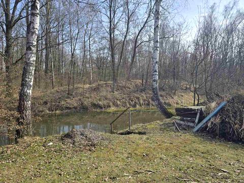 ділянка за адресою садівниче товариство "Дубовий гай"