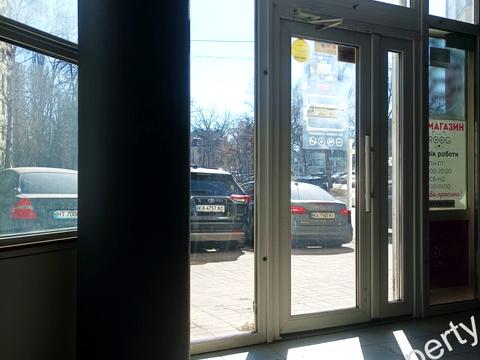комерційна за адресою Гетьмана Кирила Розумовського вул. (Миколи Краснова), 17