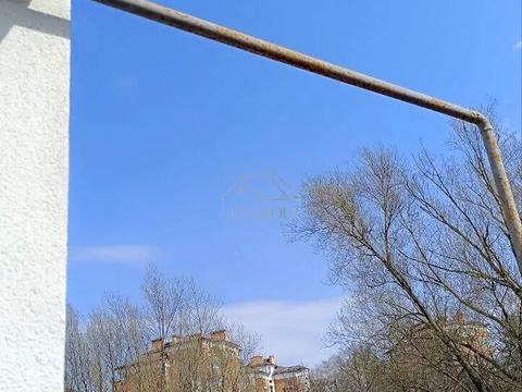 будинок за адресою Веселкова