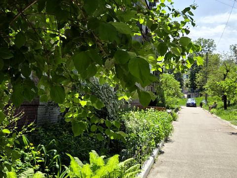 квартира по адресу Вышгород, Михаила Грушевского ул., 5