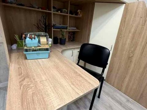 квартира по адресу Паустовского ул. (Паустовского), 10-А