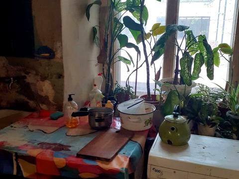 комната по адресу Еврейская ул. (Бебеля), 50