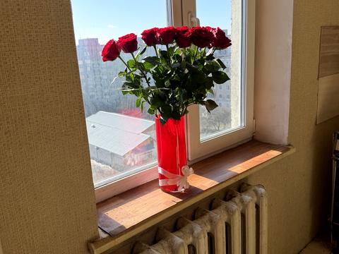 квартира по адресу Волынской Дивизии ул., 31