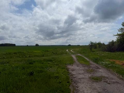 будинок за адресою с. Красилівка, Шевченка