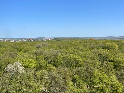 квартира по адресу Лісогринівецька ул., 18-Г