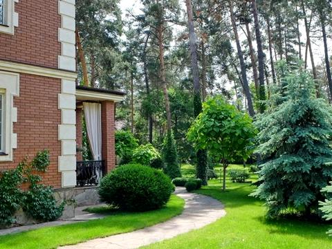 дом по адресу Лісова ул., 38