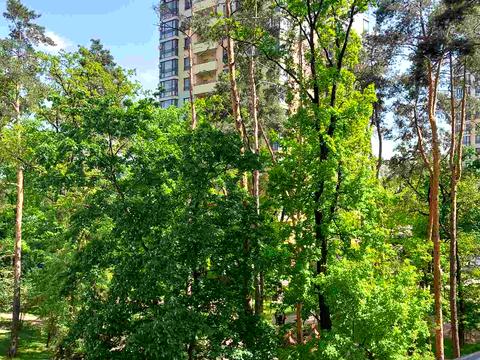 квартира за адресою Анатолія Петрицького вул., 13