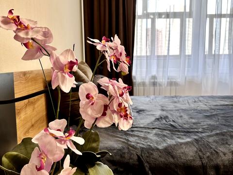 квартира за адресою Олександра Кошиця вул., 9