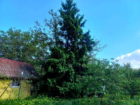 участок по адресу с. Подгорцы,