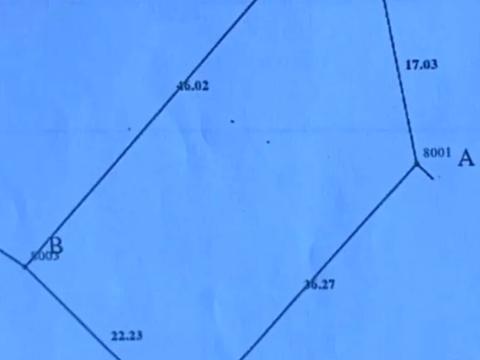 1865708254796839