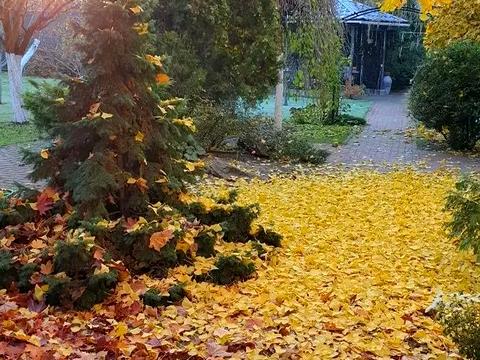 дом по адресу  ул.