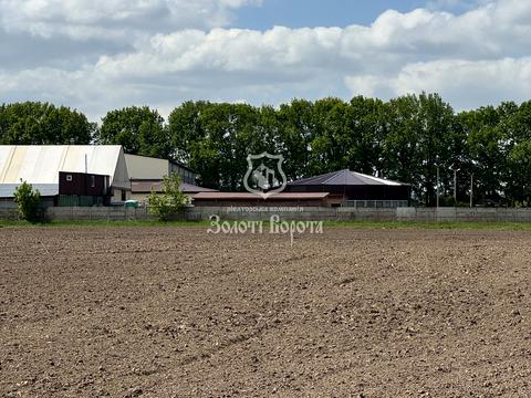 участок по адресу с. Квитневое, Гоголівська вул., 1