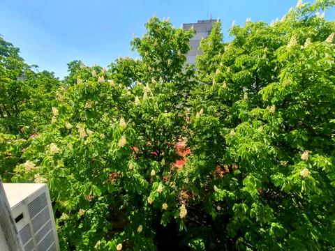 квартира по адресу Писаржевского ул., 3