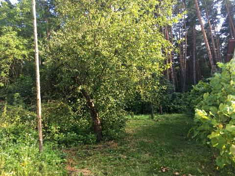 ділянка за адресою Киівська