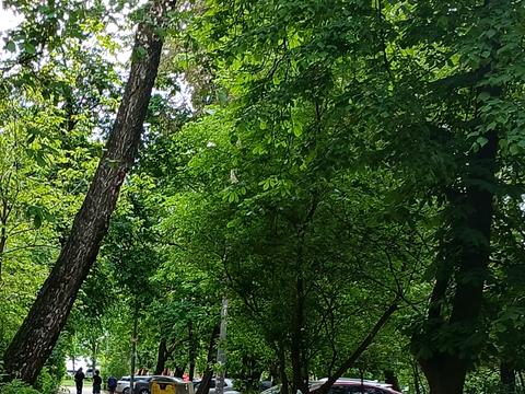 квартира по адресу Зодчих ул., 36