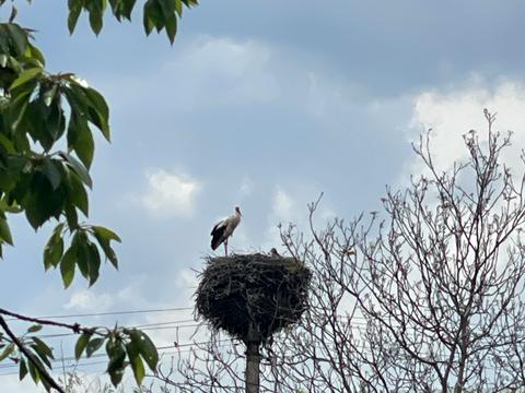 дом по адресу Березівська