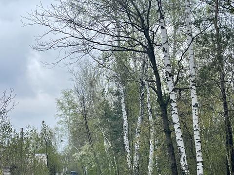 дом по адресу Березівська