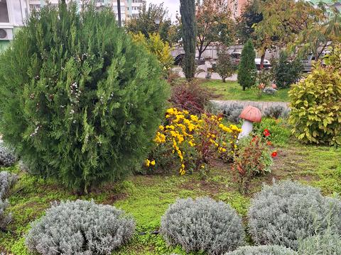 квартира за адресою Марсельська вул., 46/3