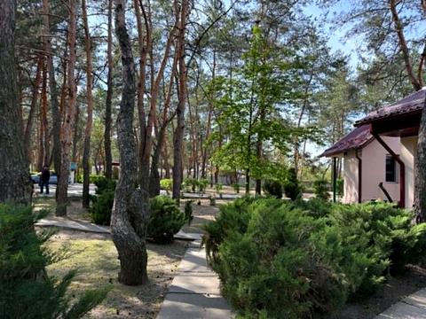 комерційна за адресою Фестивальна вул., 19Д