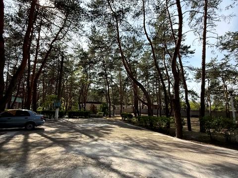 комерційна за адресою Фестивальна вул., 19Д