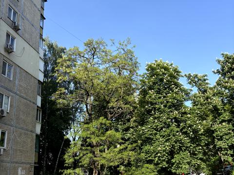 квартира за адресою Ушинського вул., 6