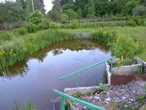 дом по адресу Рівненська