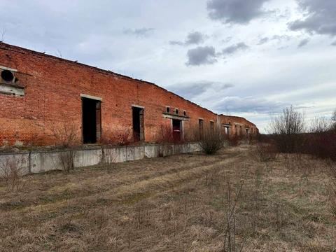 комерційна за адресою Шевченка, 1Б