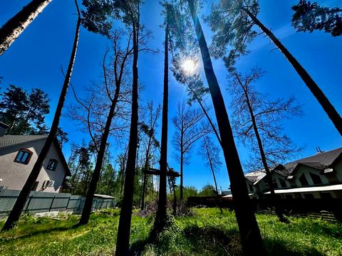 ділянка за адресою Сім'ї Красовських вул. (Пролетарська)