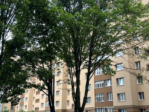 квартира по адресу Киевская ул., 81