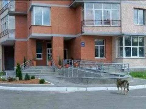 квартира по адресу Ирпенская ул., 69-Б