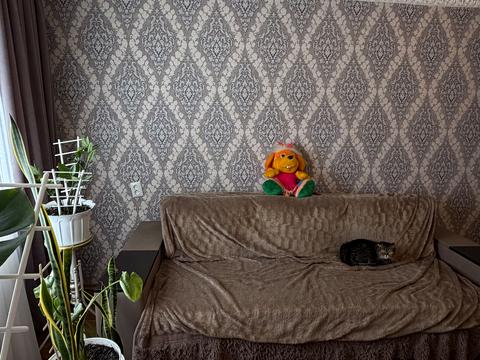 квартира по адресу Половки ул., 93