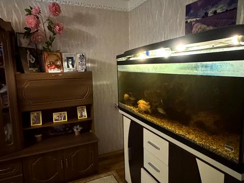 квартира по адресу Половки ул., 93
