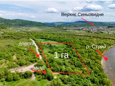 ділянка за адресою смт. Верхнє Синьовидне, 