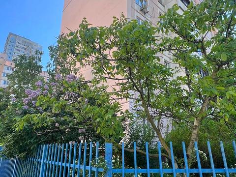 квартира за адресою Бориса Гмирі вул., 15