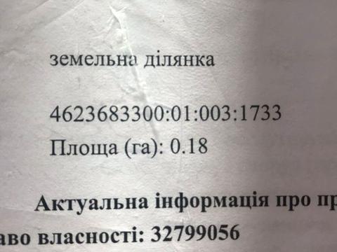 1865808498547384.jpg