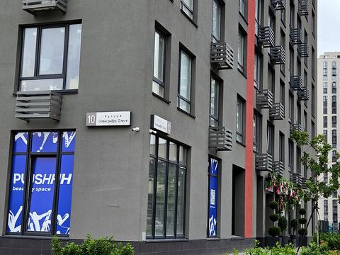 квартира за адресою Олександра Олеся вул., 10